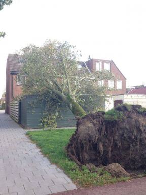 Stormschade houten schuur Lelystad incl. EPDM dakbedekking