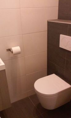 toiletverbouwing
