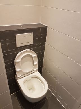 Toilet vernieuwen in Dordrecht