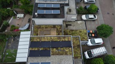 Sedumdak met zonnepanelen in Dordrecht