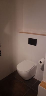 Badkamer renovatie / toilet