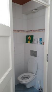 Toilet renovatie Wijk bij Duurstede