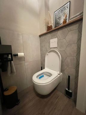 Toilet renovatie Puttershoek