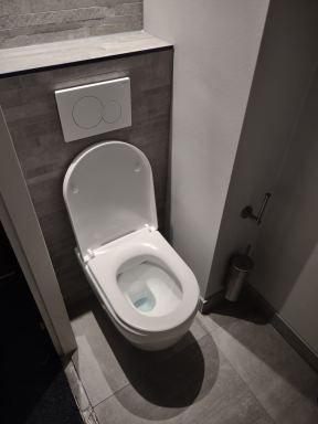 Toilet renovatie te Gouda